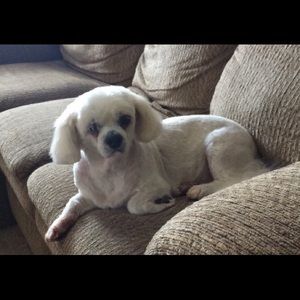 Meet your Posher, Katherine